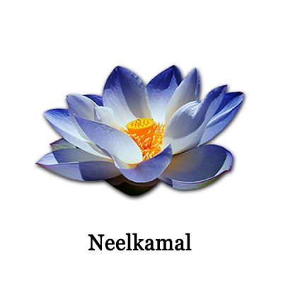 Neelkamal