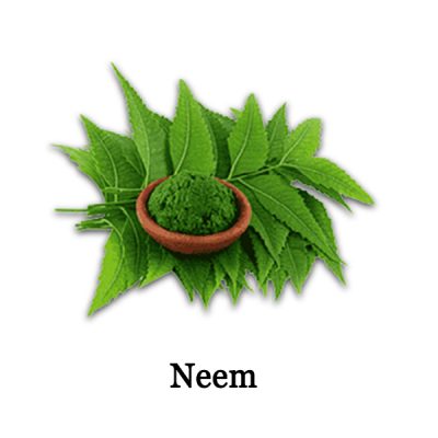 Neem