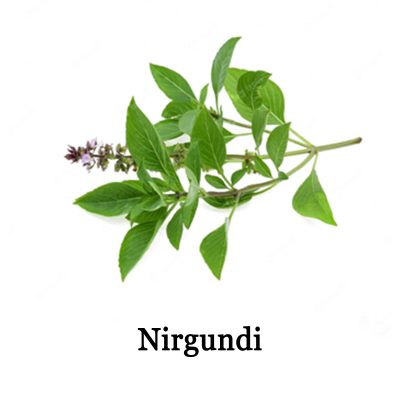 Nirgundi